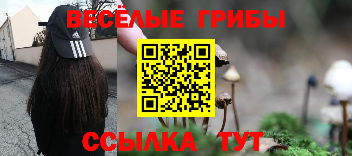 Галлюциногенные грибы Cubensis  Вход с VPN  Новозыбков 
